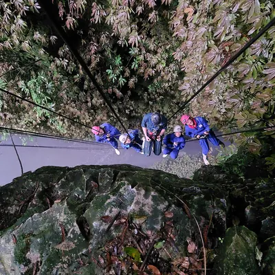 Looking down into a fern-covered canyon at a group in helmets and harnesses, gazing up, New Zealand.
